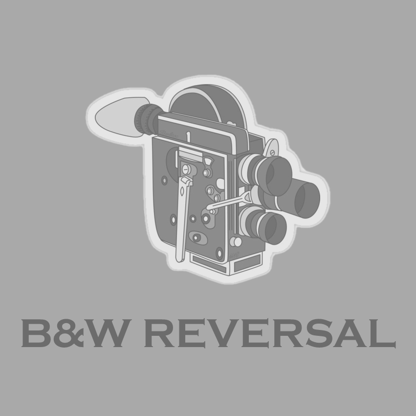 16mm B&W Reversal Processing