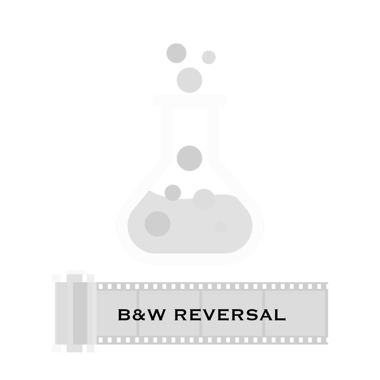 B&W Reversal Film