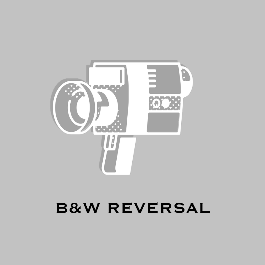 Super 8 B&W Reversal Processing